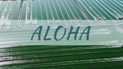 BioAstin Hawaiian Astaxanthin